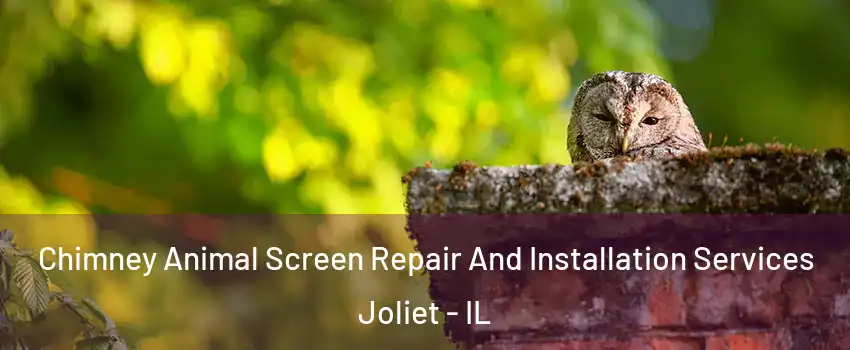  Chimney Animal Screen Repair And Installation Services Joliet - IL