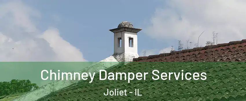  Chimney Damper Services Joliet - IL