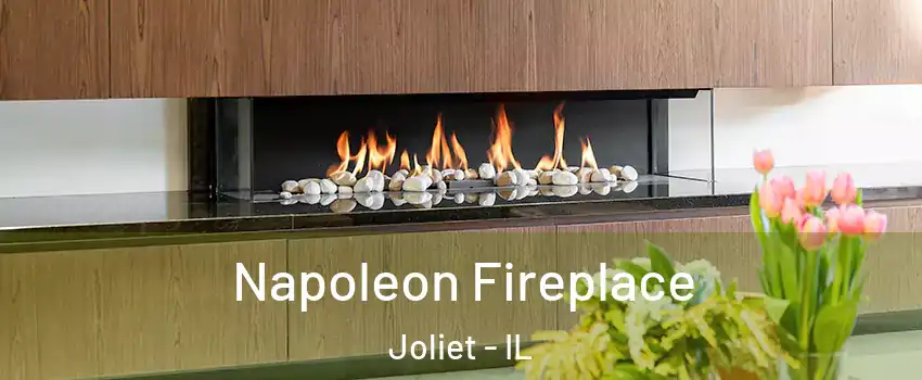  Napoleon Fireplace Joliet - IL